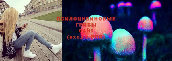 прущий лед Липки