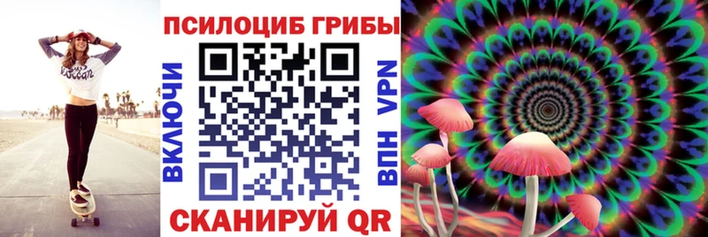 omg сайт  Бологое  Галлюциногенные грибы мицелий 