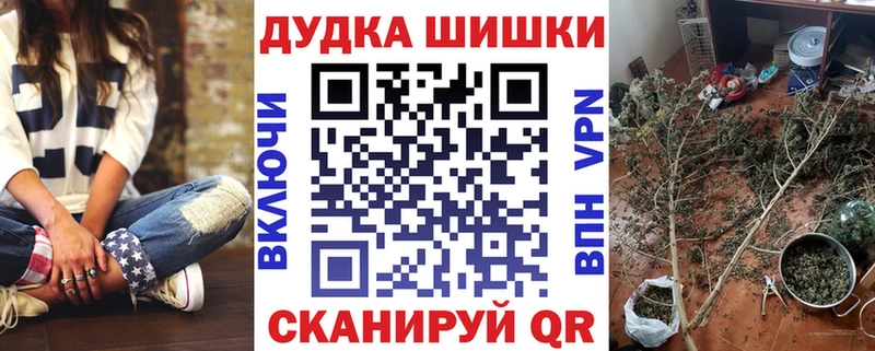 Бошки марихуана OG Kush Бологое